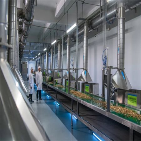  医药药材提取车间净化